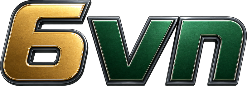 6vn